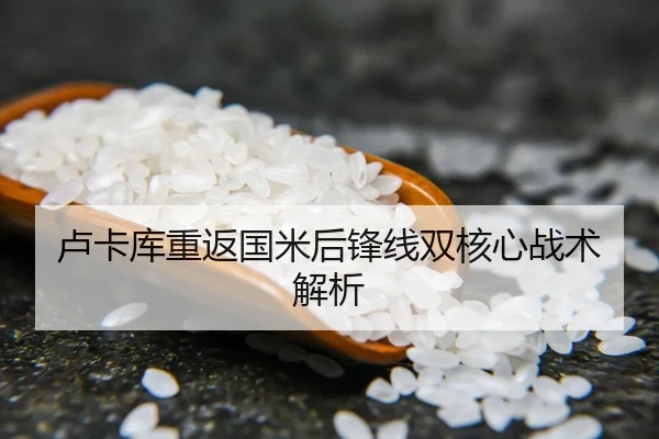 卢卡库重返国米后锋线双核心战术解析